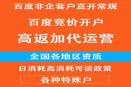 某行业领军企业的SEM广告投放策略